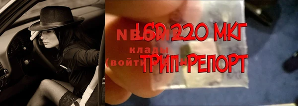 стафф Балахна