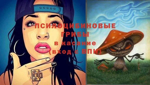 стафф Балахна